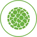 Reproducible Icon