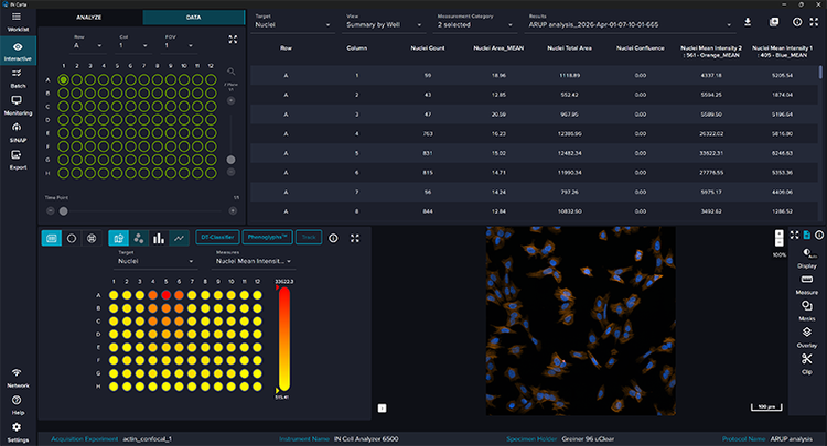IN Carta Image Analysis Software insight