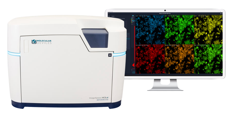 High-Content Imaging & Analysis