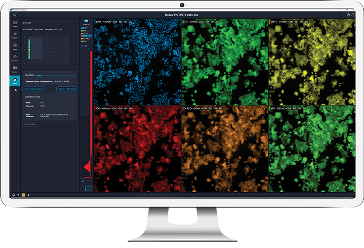IN Carta Image Analysis Software