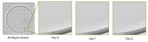 Monoclonality Report -Divide an entire well into individual images