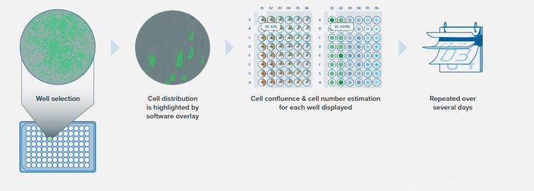 Assess cell growth objectively and quantitatively