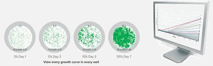 Growth curves calculated and displayed