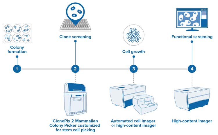 Identify desirable, clonal stem cell colonies for high-throughput colony screening and picking