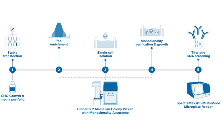 ClonePix Stable cell line development workflow