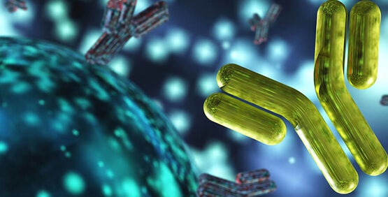 Phát hiện kháng thể đơn dòng