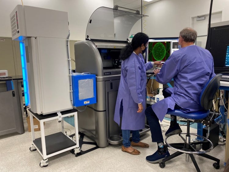 Scientis working on Mammalian Colony Screening