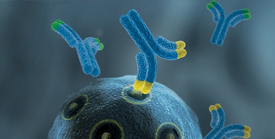 Monoclonal Antibodies (mAbs)