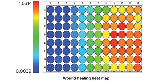 Label-Free Cell Migration