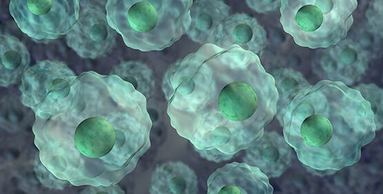 Cell Line Development generating biopharmaceutical molecules