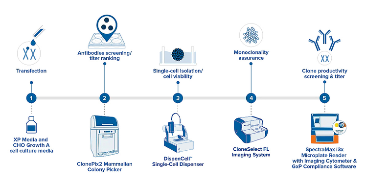 Verify monoclonality confidently at day zero with a DispenCell and CloneSelect Imager FL bundle