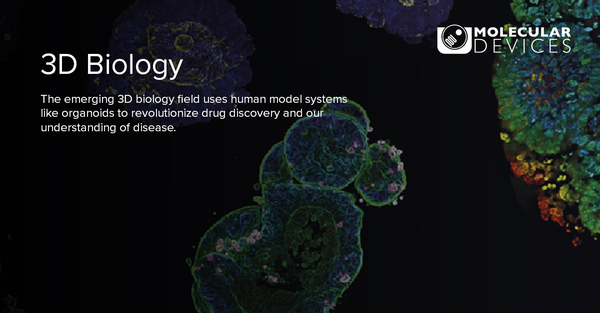 3D Biology Solutions, 3D Bioprinting
