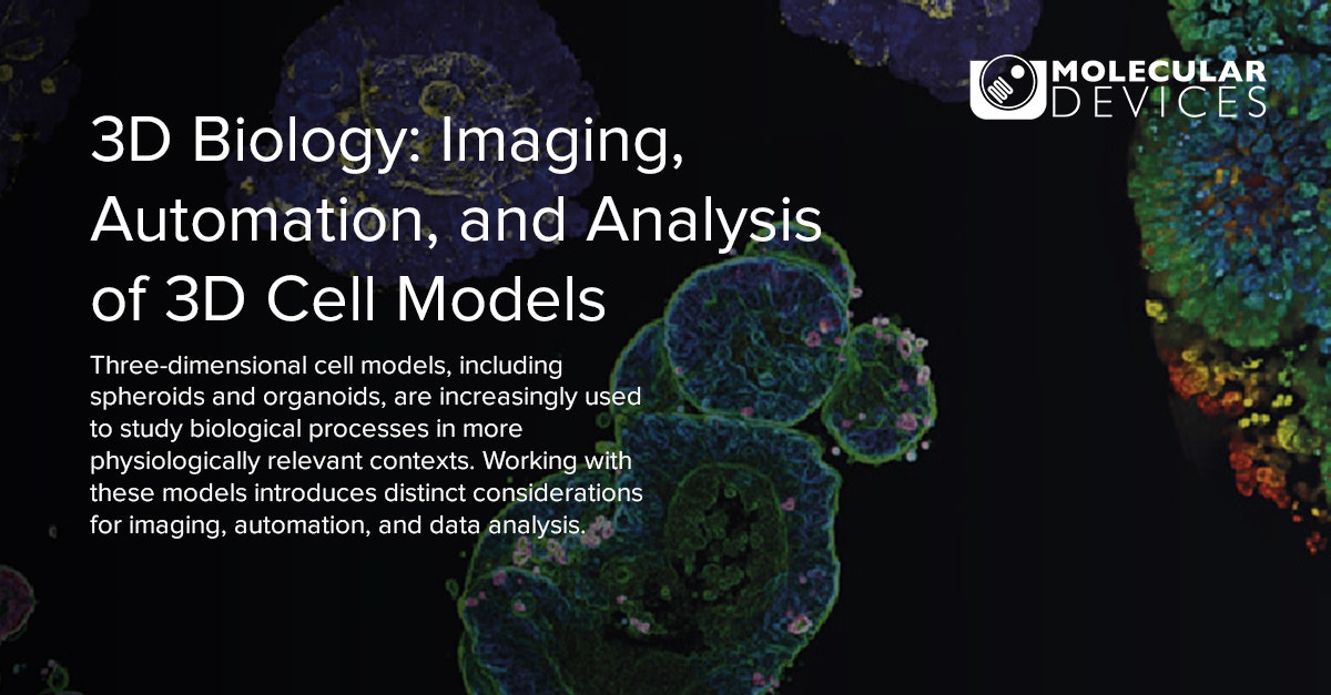 Biology Model Example 3D Biology | Analyzing 3D Cell Models in Research