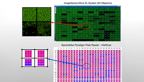 ⭐️シズルインターナショナル　スペクトラマックス⭐️ SpectraMax L Microplate Reader, Luminometer, Luminescence