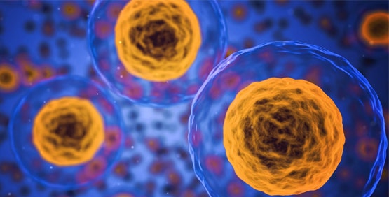 ⭐️シズルインターナショナル　スペクトラマックス⭐️ SpectraMax L Microplate Reader, Luminometer, Luminescence