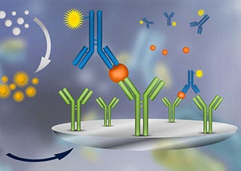 Enzyme-Linked Immunosorbent Assay (ELISA)