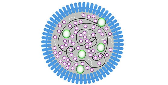 Giám sát Mycoplasma