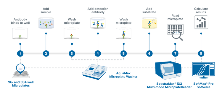 Automated Microplate Reader and Washer bundle Workflow