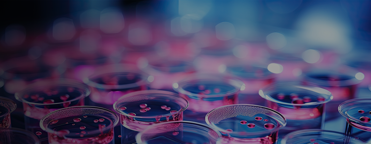 Drug Discovery