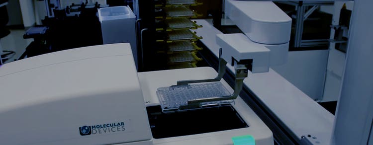 High-throughput, high-content screening (HCS)