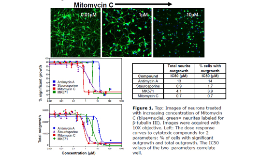 Accelerating Your High Content Imaging: A Case Study Using Neuronal Toxicity Screening 