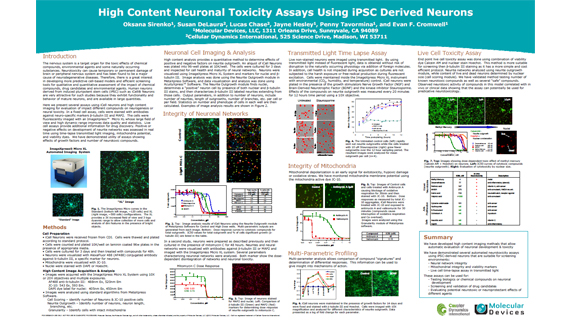 High Content Neuronal Toxicity Assays Using iPSC Derived Neurons
