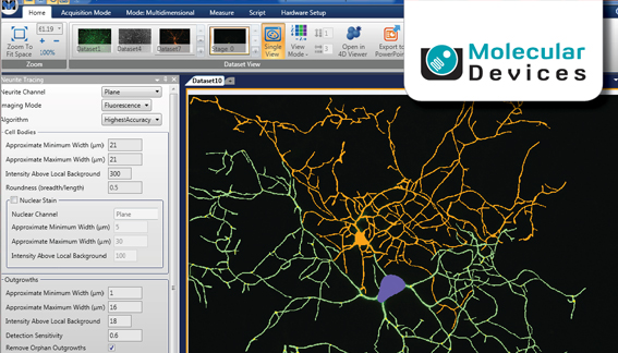 Neurite Tracing Application Module