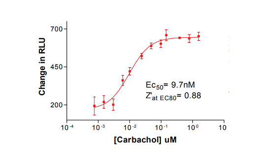 FLIPR TETRA™ Membrane Potential Kit Assay Development in 384-Well and 1536 -Well Format