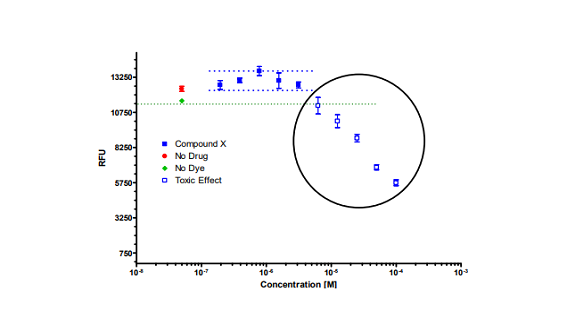 Fluorescence-Based Neurotransmitter Transporter Uptake Assay in Primary Neuronal Cultures