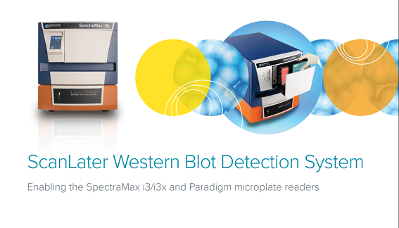 ScanLater Western Blot Detection System