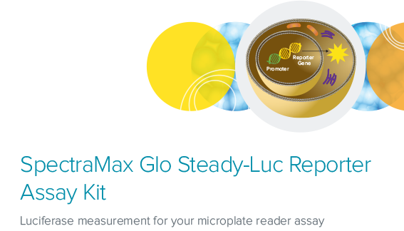 illuminaページ SpectraMax Glo Steady-Luc Reporter Assay Kit | Molecular Devices