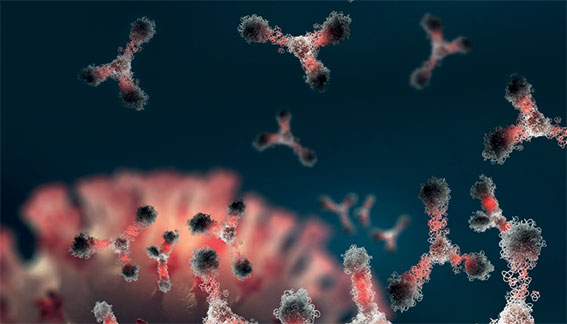 Molecular Cloning