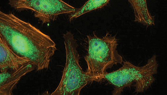 Generate application-specific, high-content imaging and analysis