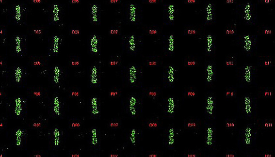 Automation of 3D bioprinting assays for high-content imaging and assessment of compound effects