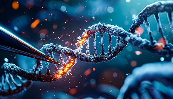 CRISPR CAS 9 GENE Editing: The Art of DNA Design