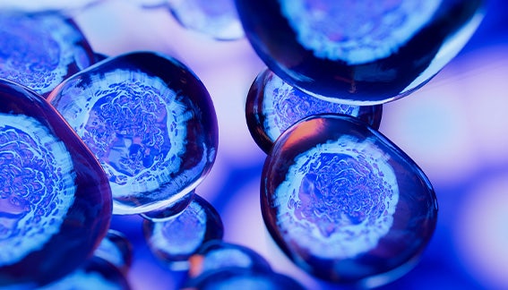 From bottlenecks to breakthroughs