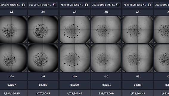 Machine learning-assisted automation of complex 2D and 3D cell culture and assay models