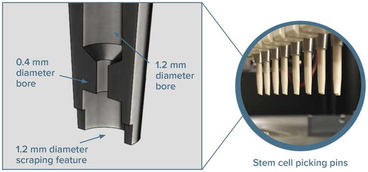 Specialized picking pins allow the gentle transfer of adherent, feeder-free cells to high-density plates for clonal expansion and downstream analysis