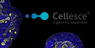 Cellsce