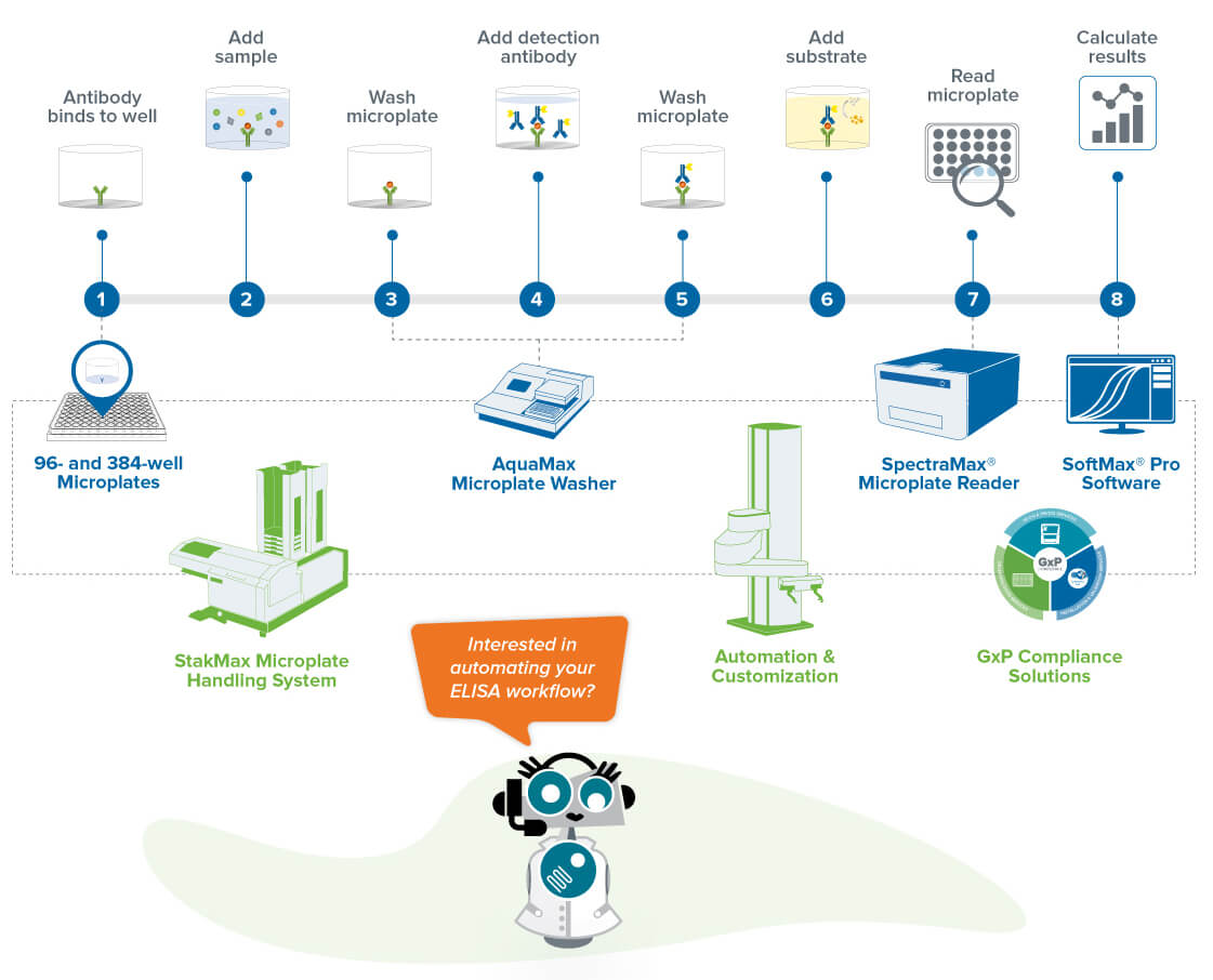 How Does An Elisa Work at Robert Mullen blog