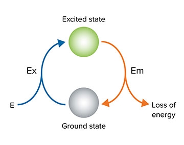 Excitation and short-lived Emission