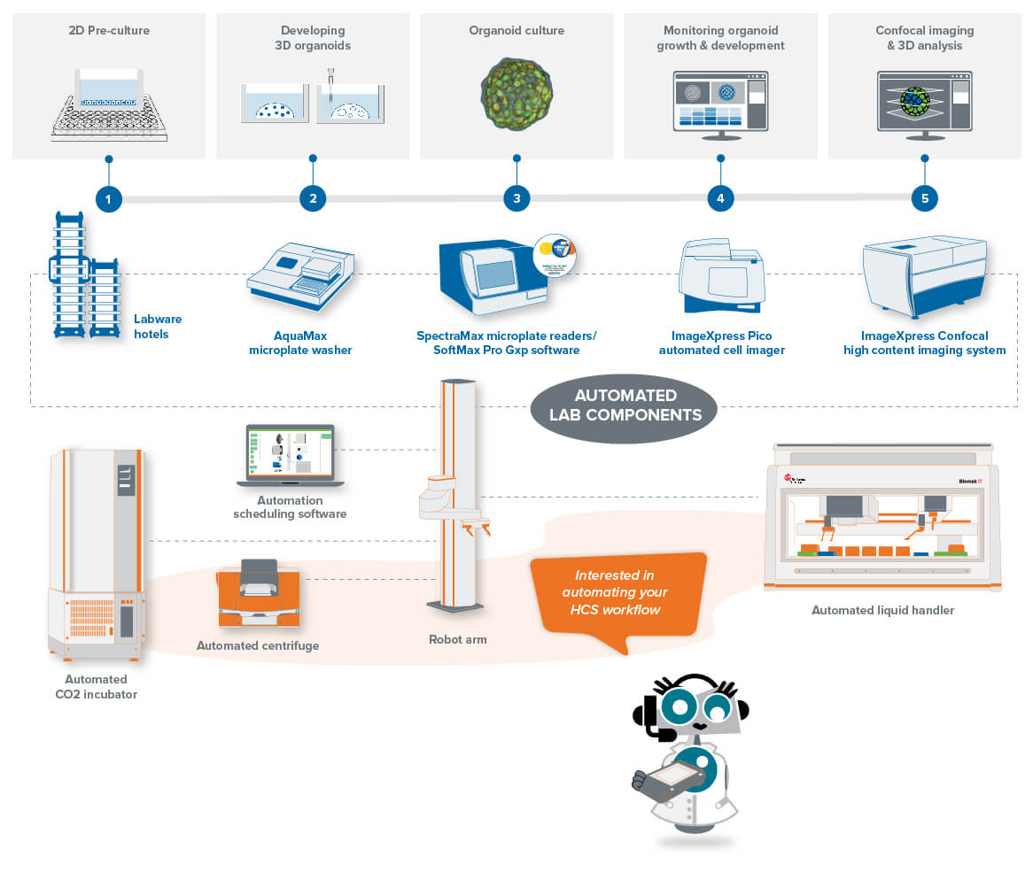 HCS workflow