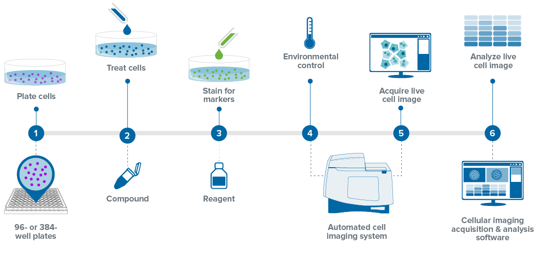 Application cells. Live Cell. Приложение Cell. Imaging Cell Analyzer. Гель документация ПЦР UVP CHEMSTUDIO Imaging System