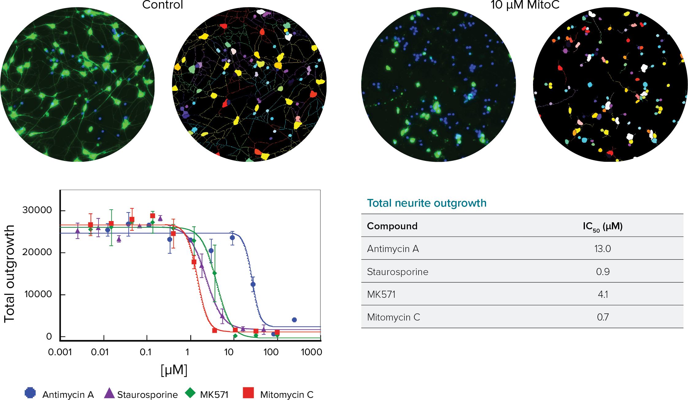 Neurite Outgrowth Application Module