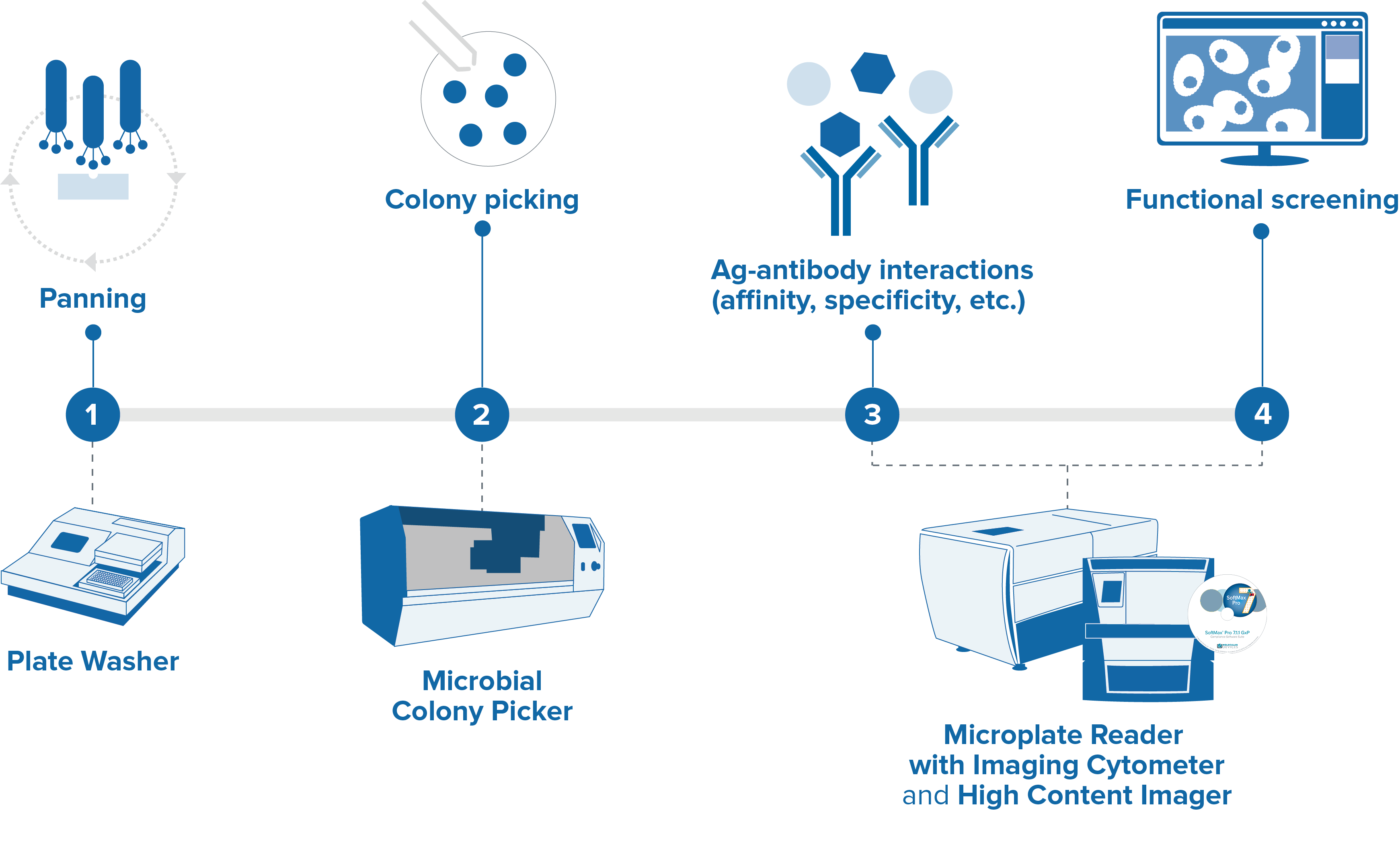 Antibody discovery workflow using phage display