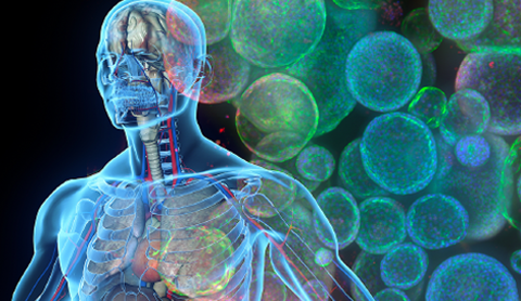 UNLOCK THE FULL POTENTIAL OF 3D BIOLOGY
