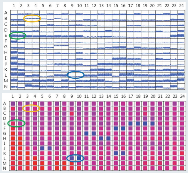 Multi-well views of cardiac beating and viability data