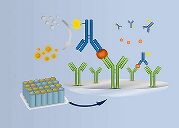 Streamline absorbance assays for nucleic acid & protein quantitation