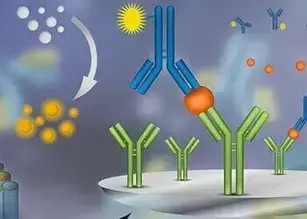 Enzyme-Linked Immunosorbent Assay (ELISA)