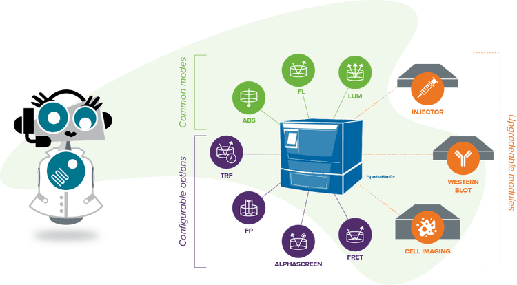 Absorbance Detection